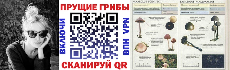 Псилоцибиновые грибы ЛСД  Усолье 